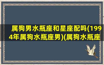 属狗男水瓶座和星座配吗(1994年属狗水瓶座男)(属狗水瓶座男人)