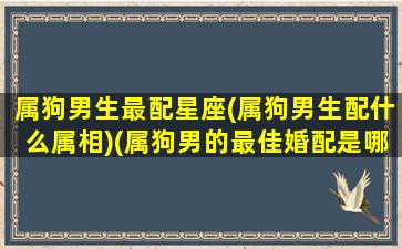 属狗男生最配星座(属狗男生配什么属相)(属狗男的最佳婚配是哪个属相)