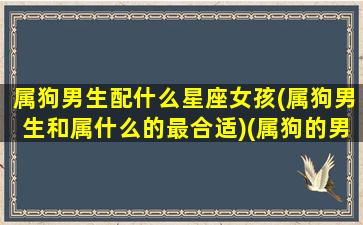 属狗男生配什么星座女孩(属狗男生和属什么的最合适)(属狗的男生和什么属相的女生最配)