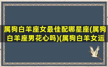 属狗白羊座女最佳配哪星座(属狗白羊座男花心吗)(属狗白羊女运势)