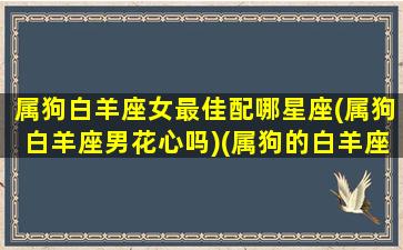 属狗白羊座女最佳配哪星座(属狗白羊座男花心吗)(属狗的白羊座和什么座最配)