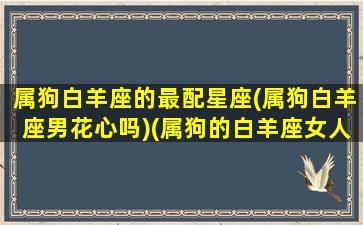 属狗白羊座的最配星座(属狗白羊座男花心吗)(属狗的白羊座女人一生感情如何)