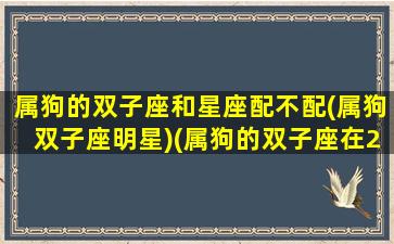 属狗的双子座和星座配不配(属狗双子座明星)(属狗的双子座在2021年的运程)