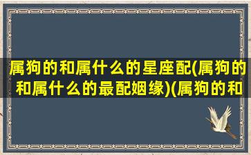 属狗的和属什么的星座配(属狗的和属什么的最配姻缘)(属狗的和属什么的配偶最合适)