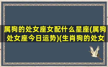 属狗的处女座女配什么星座(属狗处女座今日运势)(生肖狗的处女座女生)