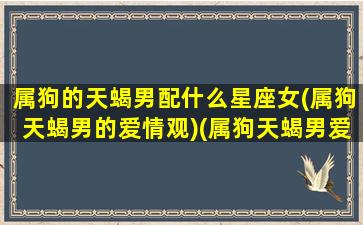 属狗的天蝎男配什么星座女(属狗天蝎男的爱情观)(属狗天蝎男爱上一个人表现)