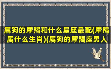 属狗的摩羯和什么星座最配(摩羯属什么生肖)(属狗的摩羯座男人最配)