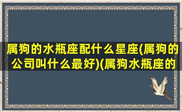 属狗的水瓶座配什么星座(属狗的公司叫什么最好)(属狗水瓶座的爱情观)