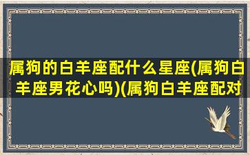 属狗的白羊座配什么星座(属狗白羊座男花心吗)(属狗白羊座配对)