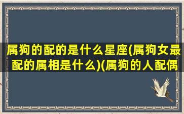 属狗的配的是什么星座(属狗女最配的属相是什么)(属狗的人配偶属什么最好)