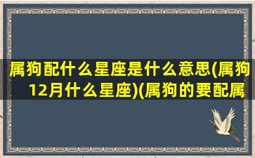 属狗配什么星座是什么意思(属狗12月什么星座)(属狗的要配属什么的)