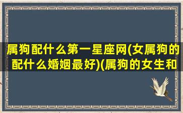 属狗配什么第一星座网(女属狗的配什么婚姻最好)(属狗的女生和什么最配)