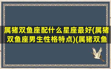 属猪双鱼座配什么星座最好(属猪双鱼座男生性格特点)(属猪双鱼男的性格特点)