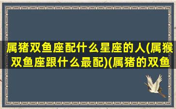 属猪双鱼座配什么星座的人(属猴双鱼座跟什么最配)(属猪的双鱼女和哪种生肖配)