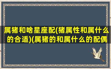 属猪和啥星座配(猪属性和属什么的合适)(属猪的和属什么的配偶最合适)