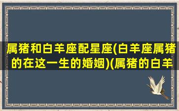 属猪和白羊座配星座(白羊座属猪的在这一生的婚姻)(属猪的白羊座男生配对)