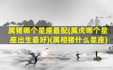 属猪哪个星座最配(属虎哪个星座出生最好)(属相猪什么星座)