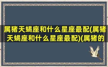 属猪天蝎座和什么星座最配(属猪天蝎座和什么星座最配)(属猪的天蝎座女生的爱情)