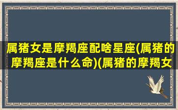 属猪女是摩羯座配啥星座(属猪的摩羯座是什么命)(属猪的摩羯女婚姻)