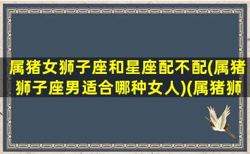 属猪女狮子座和星座配不配(属猪狮子座男适合哪种女人)(属猪狮子座女生的性格脾气)