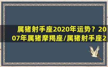 属猪射手座2020年运势？2007年属猪摩羯座/属猪射手座2020年运势？2007年属猪摩羯座-我的网站