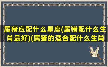 属猪应配什么星座(属猪配什么生肖最好)(属猪的适合配什么生肖)