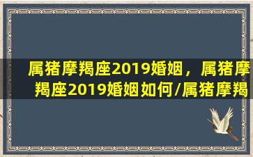 属猪摩羯座2019婚姻，属猪摩羯座2019婚姻如何/属猪摩羯座2019婚姻，属猪摩羯座2019婚姻如何-我的网站