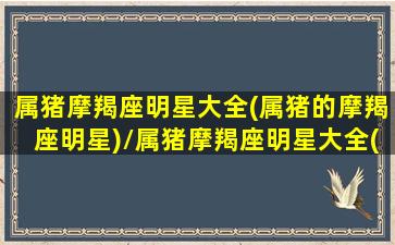 属猪摩羯座明星大全(属猪的摩羯座明星)/属猪摩羯座明星大全(属猪的摩羯座明星)-我的网站