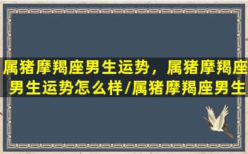 属猪摩羯座男生运势，属猪摩羯座男生运势怎么样/属猪摩羯座男生运势，属猪摩羯座男生运势怎么样-我的网站