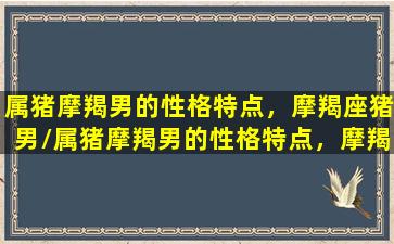 属猪摩羯男的性格特点，摩羯座猪男/属猪摩羯男的性格特点，摩羯座猪男-我的网站