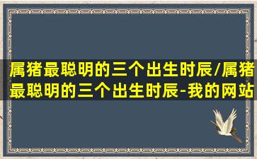 属猪最聪明的三个出生时辰/属猪最聪明的三个出生时辰-我的网站(属猪人什么时辰出生命最好)