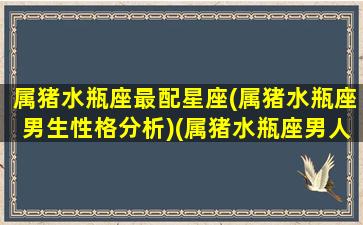 属猪水瓶座最配星座(属猪水瓶座男生性格分析)(属猪水瓶座男人的性格特点)