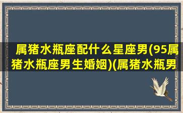 属猪水瓶座配什么星座男(95属猪水瓶座男生婚姻)(属猪水瓶男性格与婚姻)