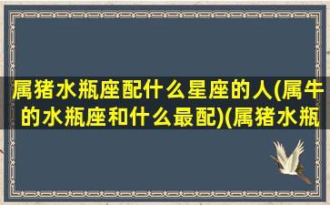 属猪水瓶座配什么星座的人(属牛的水瓶座和什么最配)(属猪水瓶座女生适合的对象)