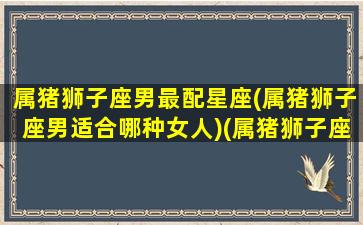 属猪狮子座男最配星座(属猪狮子座男适合哪种女人)(属猪狮子座男生性格)