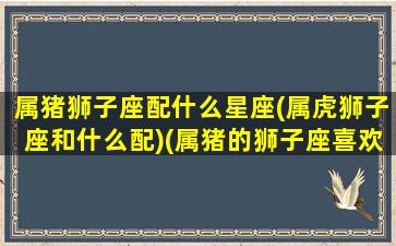 属猪狮子座配什么星座(属虎狮子座和什么配)(属猪的狮子座喜欢一个人的表现)