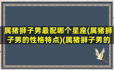 属猪狮子男最配哪个星座(属猪狮子男的性格特点)(属猪狮子男的爱情观)