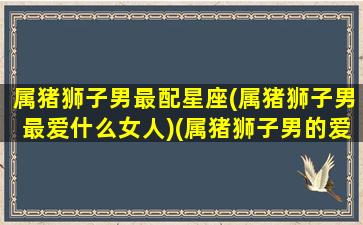 属猪狮子男最配星座(属猪狮子男最爱什么女人)(属猪狮子男的爱情观)