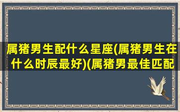 属猪男生配什么星座(属猪男生在什么时辰最好)(属猪男最佳匹配对象)