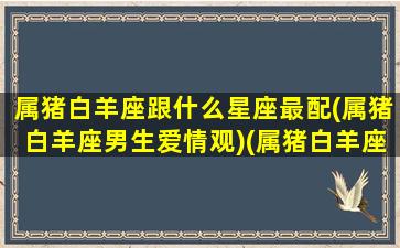 属猪白羊座跟什么星座最配(属猪白羊座男生爱情观)(属猪白羊座男生的特点)