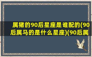 属猪的90后星座是谁配的(90后属马的是什么星座)(90后属猪是哪一年出生的)