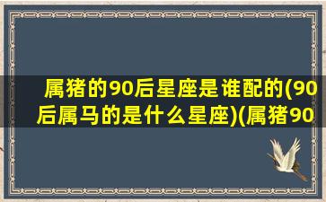 属猪的90后星座是谁配的(90后属马的是什么星座)(属猪90后是9几年出生)