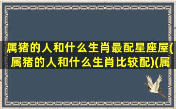 属猪的人和什么生肖最配星座屋(属猪的人和什么生肖比较配)(属猪的人跟什么生肖最配)