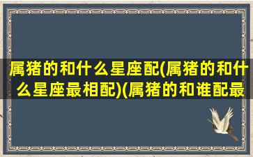 属猪的和什么星座配(属猪的和什么星座最相配)(属猪的和谁配最好)