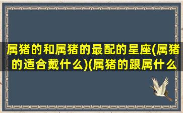 属猪的和属猪的最配的星座(属猪的适合戴什么)(属猪的跟属什么的和)