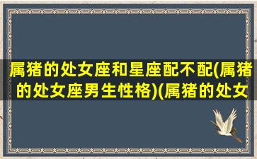 属猪的处女座和星座配不配(属猪的处女座男生性格)(属猪的处女座男生性格特点)