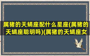 属猪的天蝎座配什么星座(属猪的天蝎座聪明吗)(属猪的天蝎座女生的爱情)