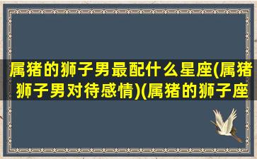 属猪的狮子男最配什么星座(属猪狮子男对待感情)(属猪的狮子座男生的性格爱情)