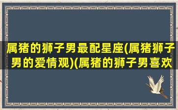 属猪的狮子男最配星座(属猪狮子男的爱情观)(属猪的狮子男喜欢一个人的表现)