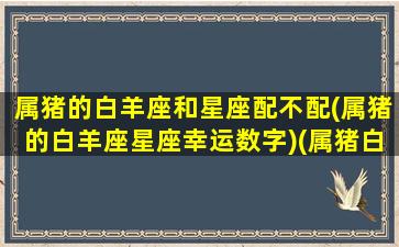 属猪的白羊座和星座配不配(属猪的白羊座星座幸运数字)(属猪白羊座好不好)